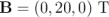 B =  (0, 20,0) T  \relax \special {t4ht=