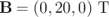 B =  (0, 20,0) T  \relax \special {t4ht=